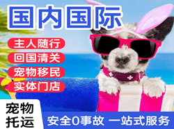 满洲里航空托运国际宠物托运 【国
